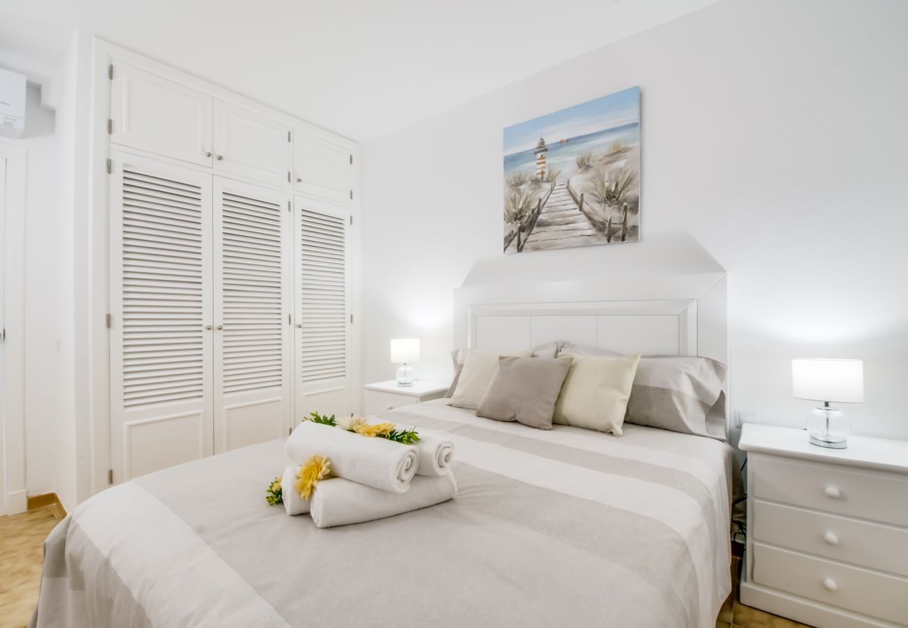 Apartment in Alcudia - Butterfly ID: 376651